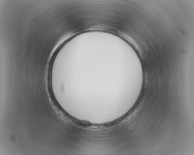 X0000115761138200912111040