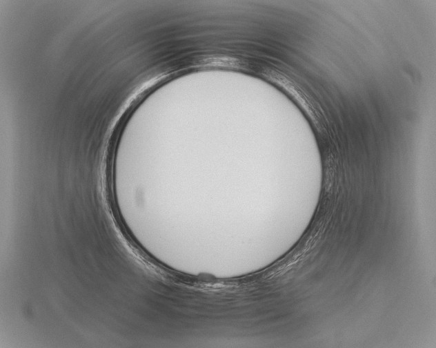 X0000115761139200912111040