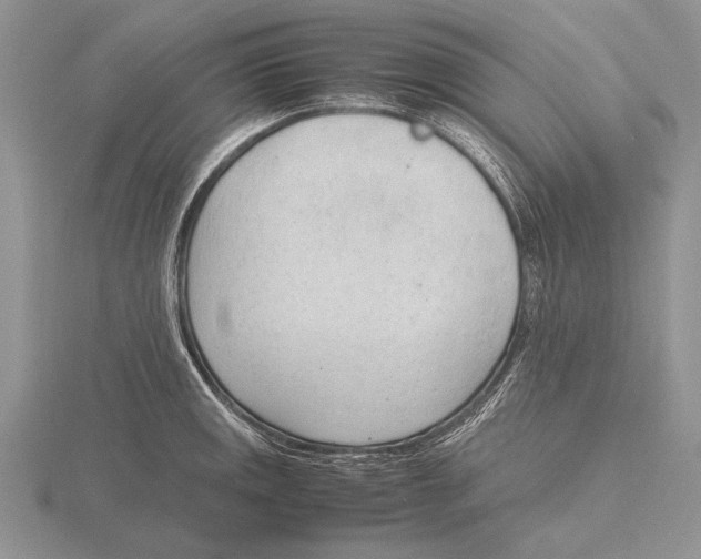 X0000115761141200912111040