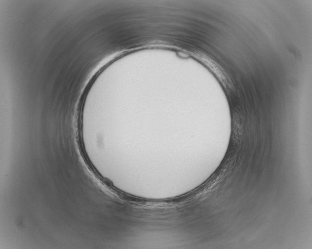 X0000115761142200912111040