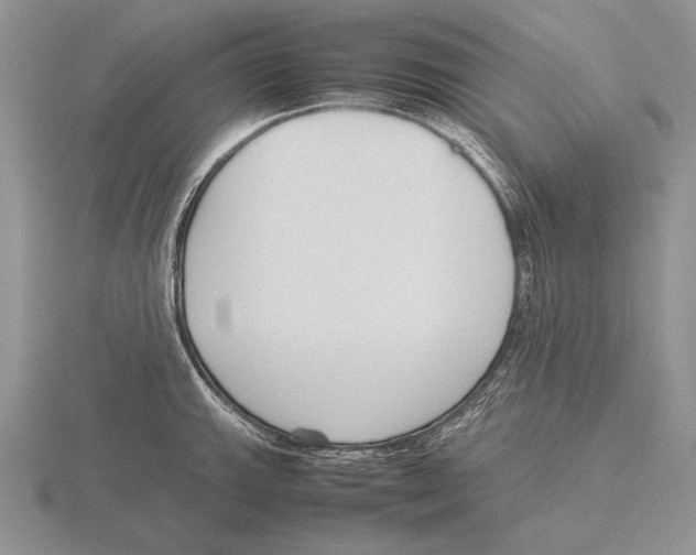 X0000115761143200912111040