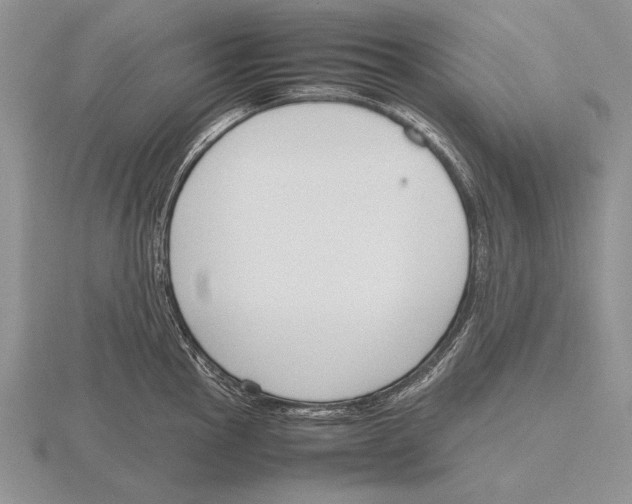 X0000115761145200912111040