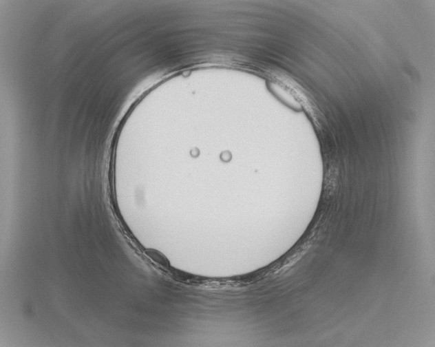 X0000115761146200912111040