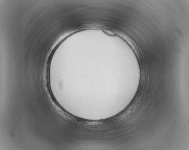 X0000115761147200912111040