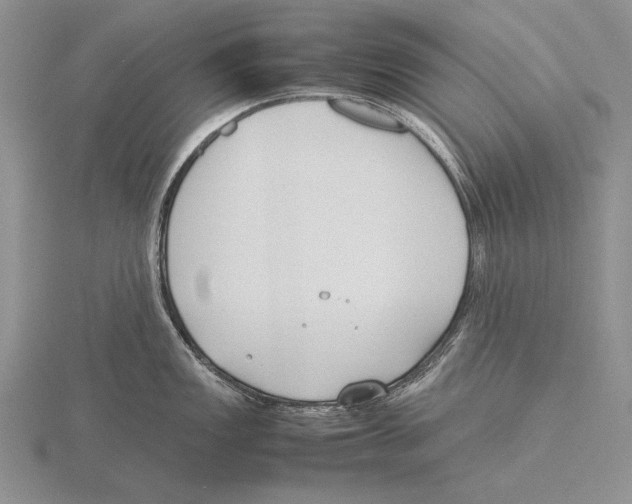 X0000115761149200912111040