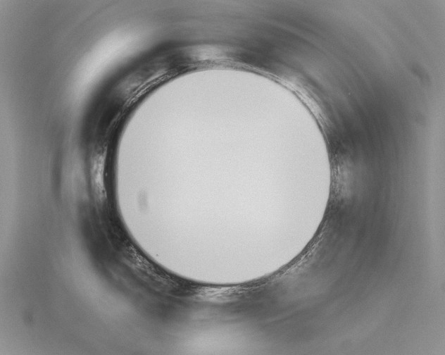 X0000115761150200912111040