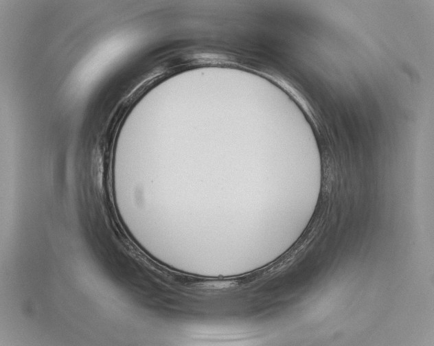 X0000115761151200912111040