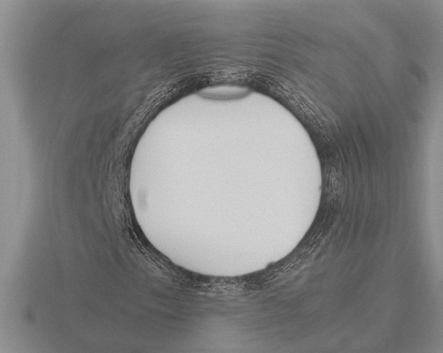 X0000115761153200912111040