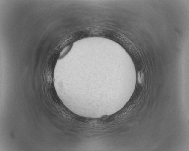 X0000115761155200912111040