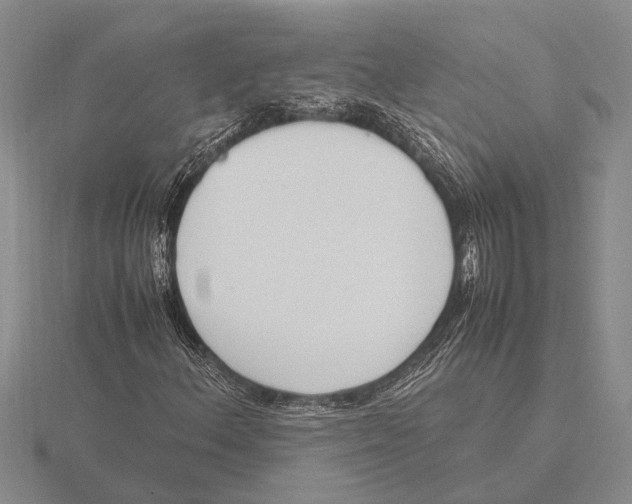 X0000115761156200912111040