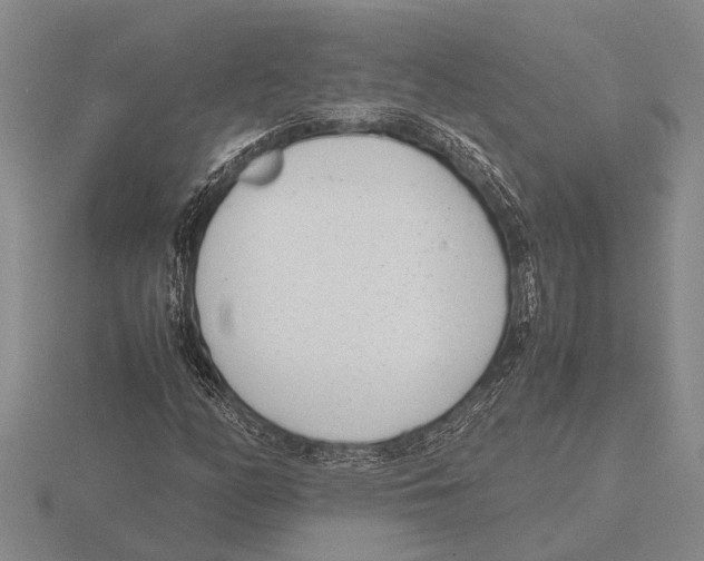 X0000115761158200912111040