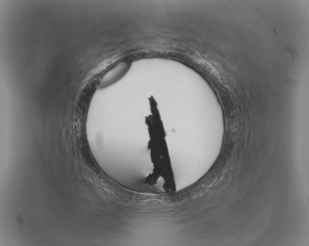 X0000115761159200912111040