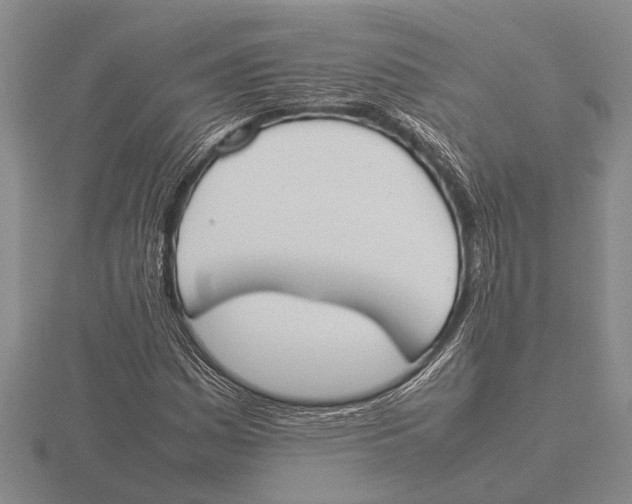 X0000115761161200912111040