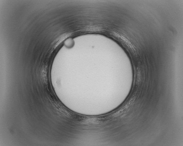 X0000115761162200912111040