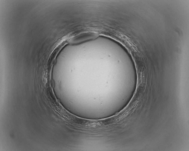 X0000115761165200912111040