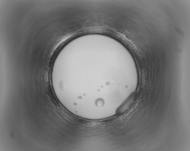 X0000115761166200912111040