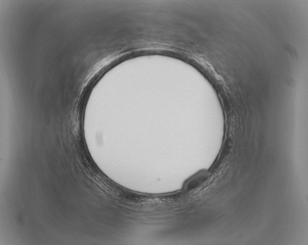 X0000115761167200912111040