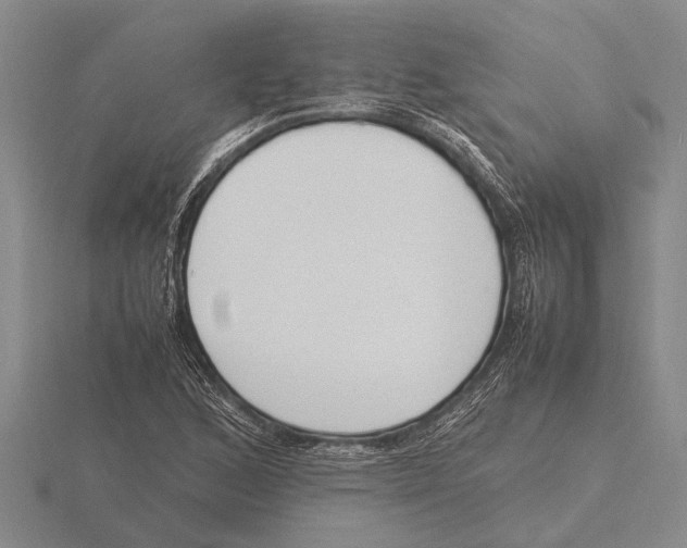 X0000115761168200912111040