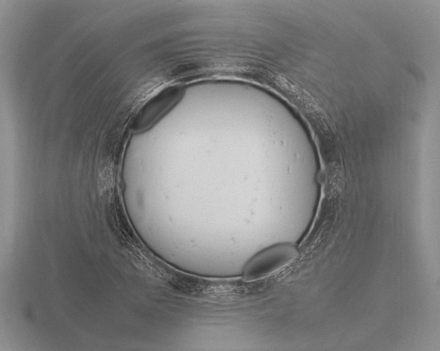 X0000115761169200912111040