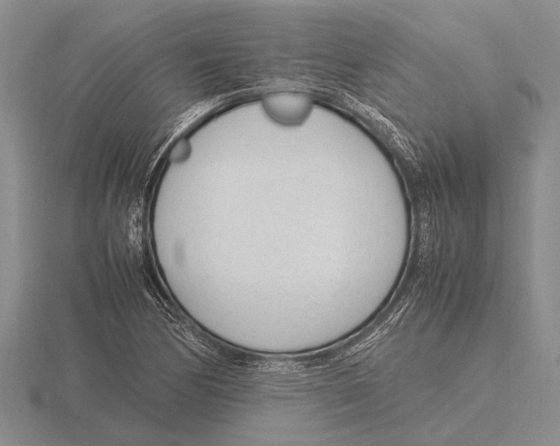 X0000115761170200912111040