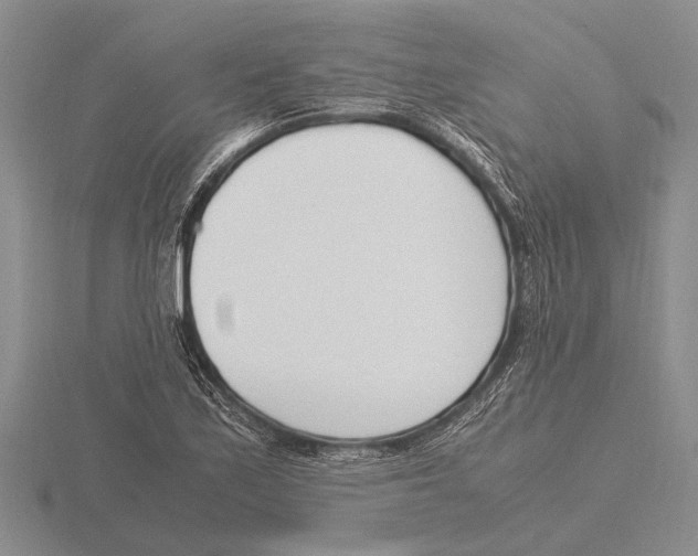 X0000115761171200912111040