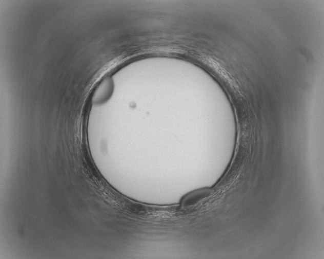 X0000115761173200912111039