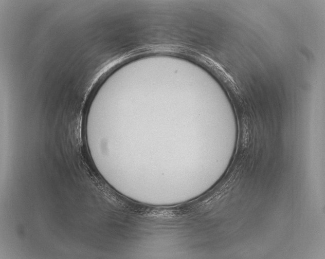 X0000115761174200912111039