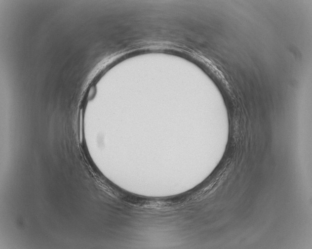 X0000115761175200912111039