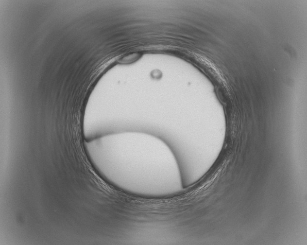 X0000115761177200912111039