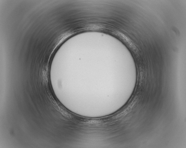 X0000115761178200912111039