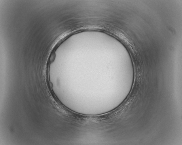 X0000115761181200912111039