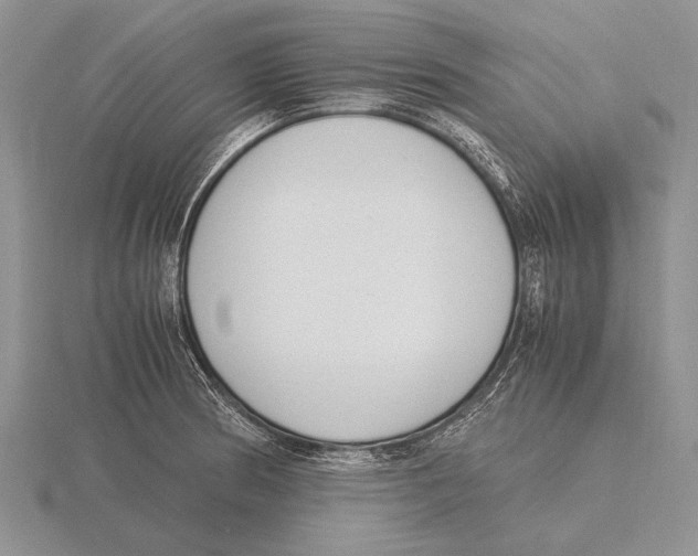 X0000115761186200912111039