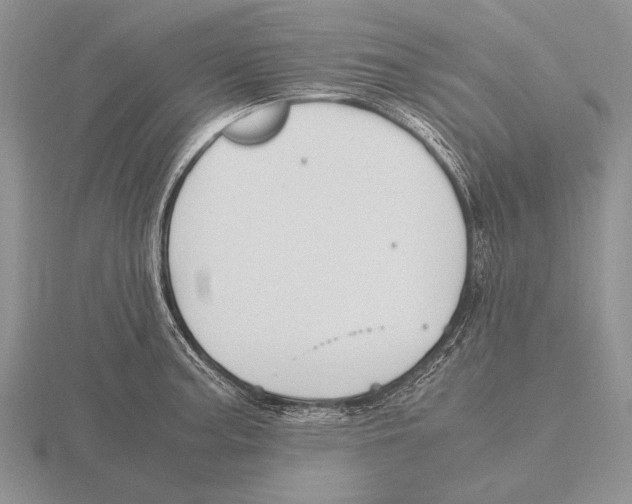 X0000115761187200912111039