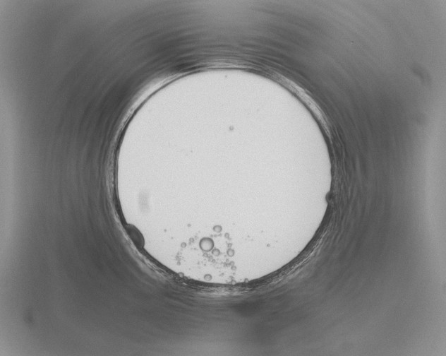 X0000115761195200912111039