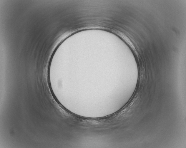 X0000115761197200912111039