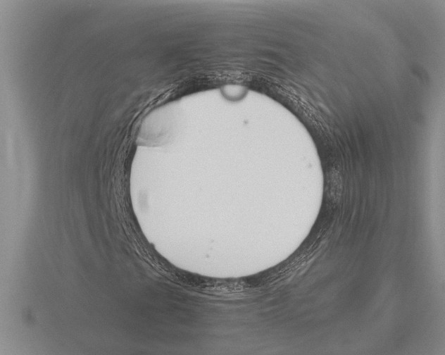 X0000115761201200912111038