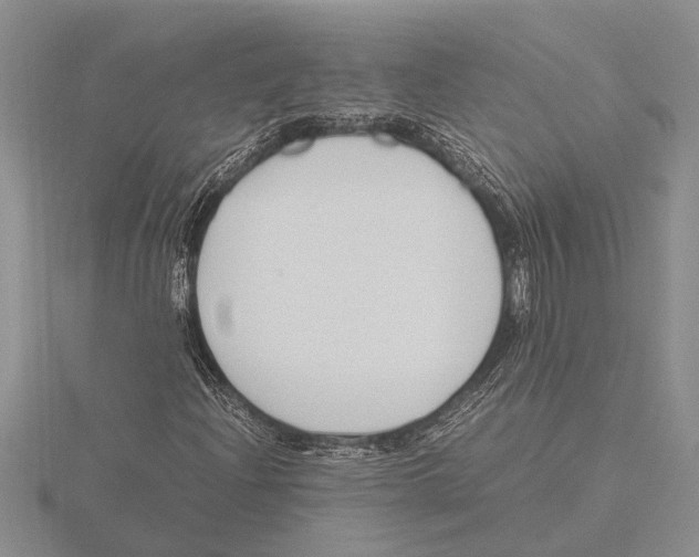 X0000115761204200912111038