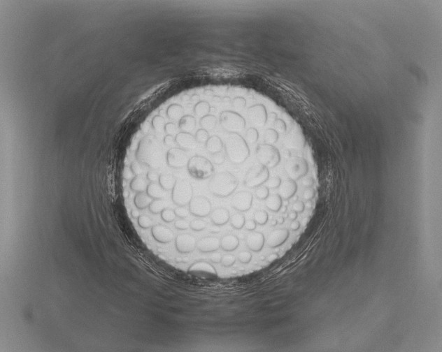 X0000115761205200912111038