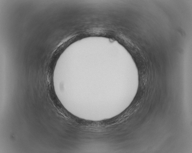 X0000115761206200912111038