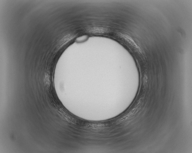 X0000115761209200912111038