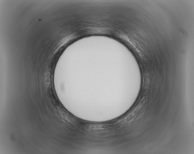 X0000115761211200912111038