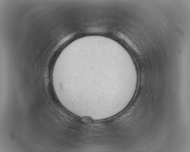 X0000115761213200912111039