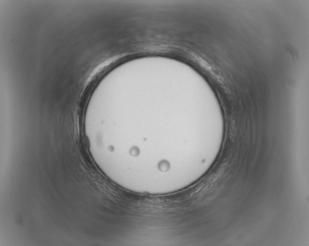 X0000115761214200912111039