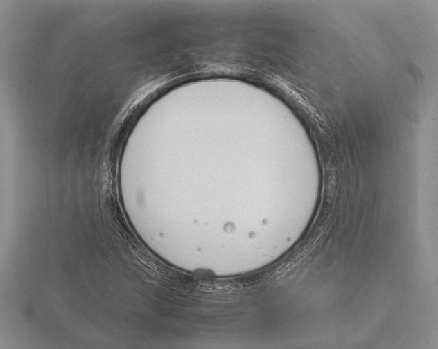 X0000115761215200912111039