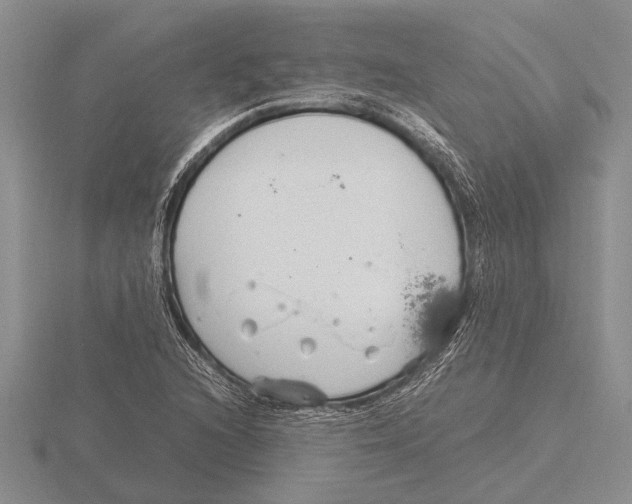 X0000115761216200912111039