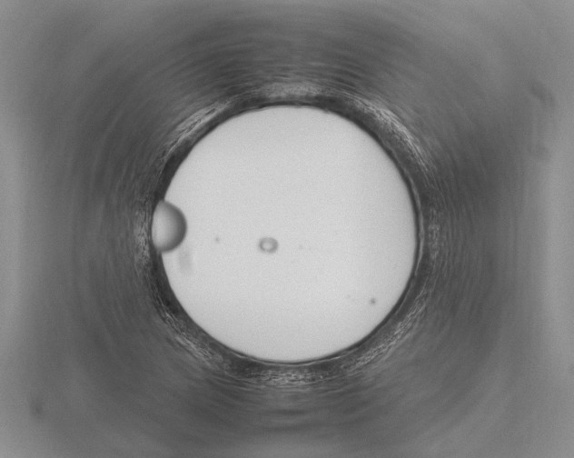 X0000115761217200912111039