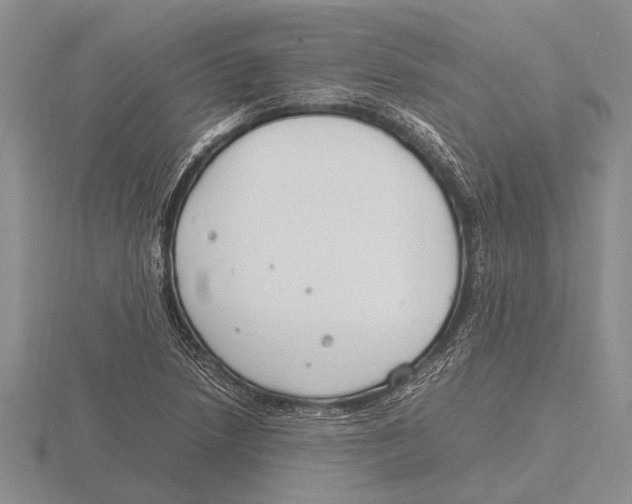 X0000115761218200912111039