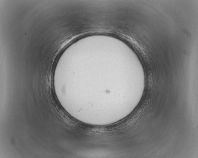 X0000115761220200912111039