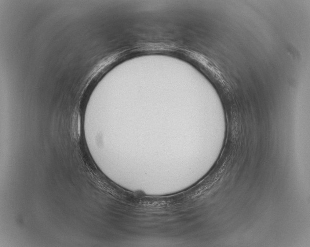 X0000115761221200912111039