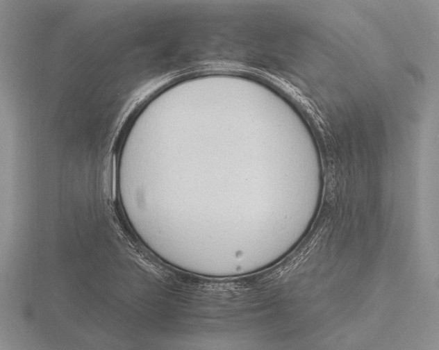 X0000115761223200912111039